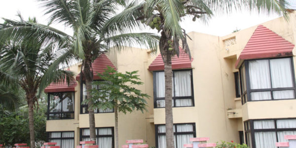 swosti-palm-3